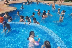 viber_изображение_2024-07-01_16-26-10-827